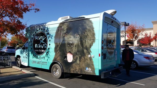 bakers complete 14kg asda