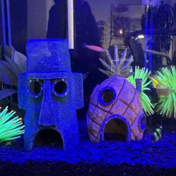 7seas Tropical Fish of San Pedro