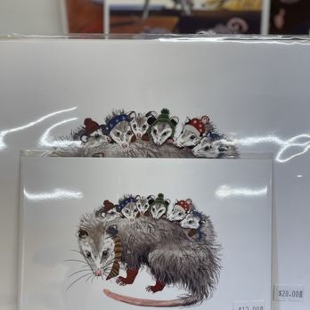 Awesome 'Possumz - Gift Shops Near Me - Fredericksburg, Virginia