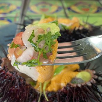 Holbox - Uni and Scallop...ceviche? I'm not sure but omg I understand why it's one of their popular dish! So fresh and yummms - Latin American Near Me - Los Angeles, California Holbox - Uni and Scallop...ceviche? I'm not sure but omg I understand why it's one of their popular dish! So fresh and yummms - Latin American Near Me - Los Angeles, California
