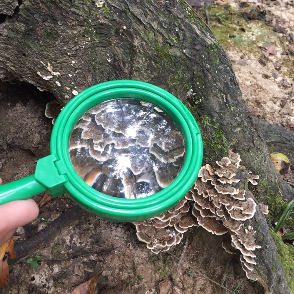 Brown County State Park - So much to see... I'd fungus (find pamphlet guides in the Nature center) - Hiking Near Me - Nashville, Indiana Brown County State Park - So much to see... I'd fungus (find pamphlet guides in the Nature center) - Hiking Near Me - Nashville, Indiana