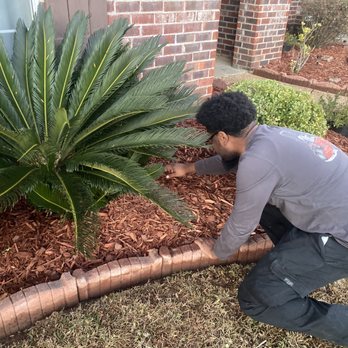 Buds Lawncare - Lawn Services Near Me Buds Lawncare - Lawn Services Near Me