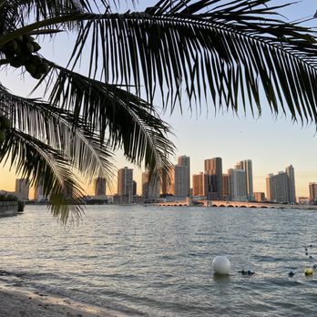 Joia Beach - Miami skyline - Modern European Near Me - Miami, Florida