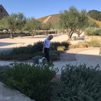 Niner Wine Estates - Pet Friendly - Wine Tasting Room Near Me - Paso Robles, California Niner Wine Estates - Pet Friendly - Wine Tasting Room Near Me - Paso Robles, California