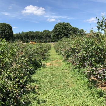 Jaswell's Farm - Farmers Market Near Me - Smithfield, Rhode Island