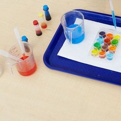 The Tiny Scientist