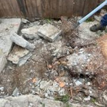 Go Green Tree Service - The tree stump removed! - Tree Services Near Me Go Green Tree Service - The tree stump removed! - Tree Services Near Me