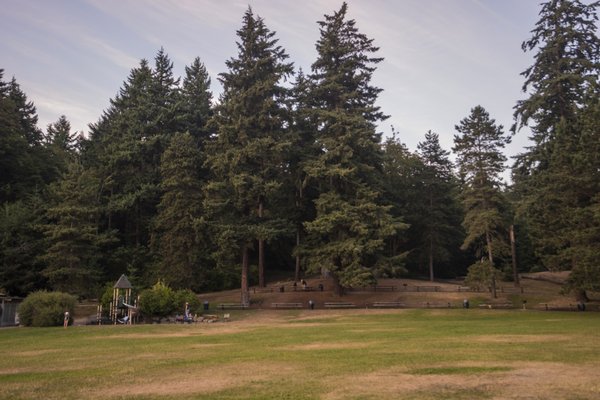 Carkeek Park by null