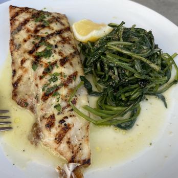 Louká Beverly Hills - Sea bass was very lemon-y - Greek Near Me - Beverly Hills, California Louká Beverly Hills - Sea bass was very lemon-y - Greek Near Me - Beverly Hills, California