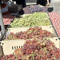 Schletewitz Family Farm - Grapes at the Clement Street Farmers Market