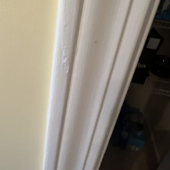 Prime Painters LLC - Told me it was damage-they don't do that - Painters Near Me Prime Painters LLC - Told me it was damage-they don't do that - Painters Near Me