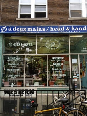 Head & Hands by null