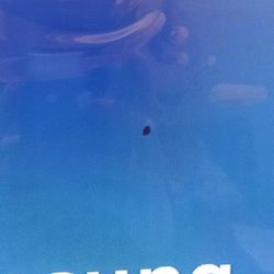 Best Buy