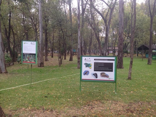 Bosque Cuauhtémoc by null