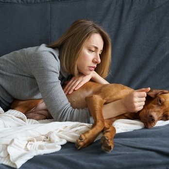 In-Home Pet Loss - Pet Cremation Services Near Me In-Home Pet Loss - Pet Cremation Services Near Me