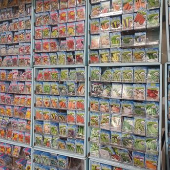 The Home Depot - 8/14/25 Big selection of flower & veggie seed pkts for $2.49 ea - Hardware Stores Near Me - Honolulu, Hawaii The Home Depot - 8/14/25 Big selection of flower & veggie seed pkts for $2.49 ea - Hardware Stores Near Me - Honolulu, Hawaii