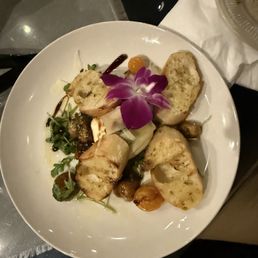 Appetizer Appetizer