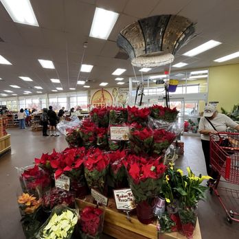 Trader Joe's - Poinsettia plants in red, white, and yellow are arranged on a wooden display inside a grocery store, with shoppers and store shelves visible in the background. - Grocery Near Me - Albuquerque, New Mexico