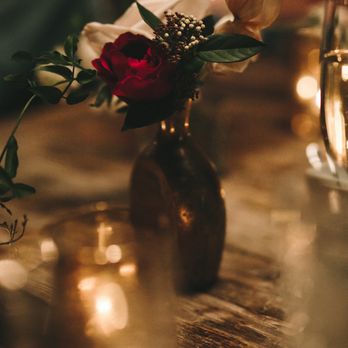 The Little Branch - undefined - Florists Near Me - Los Angeles, California