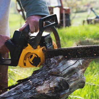 AA Tree Service - untitled - Tree Services Near Me - Kent, Washington AA Tree Service - untitled - Tree Services Near Me - Kent, Washington