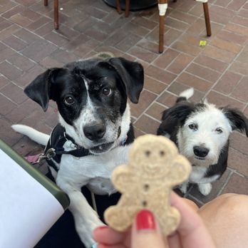 Milton's - Dog biscuits - Delis Near Me - Del Mar, California Milton's - Dog biscuits - Delis Near Me - Del Mar, California