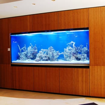 Fish By Design - Aquarium Services Near Me - Westminster, California