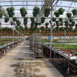 M&K Greenhouse