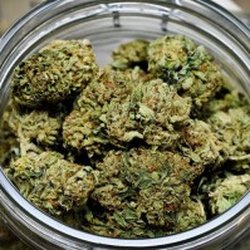 Green Health