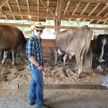 Brooklyn Fair - Some hunk and some GIANT cows. - Festivals Near Me - Brooklyn, Connecticut