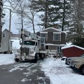 Niz Tree Services - Tree Services Near Me