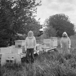 RJ Honey - We have All your Basic Bee Keeping Supplies. Call or Email Us.