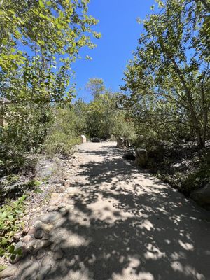 Mission Trails Regional Park Visitor and Interpretive Center by null