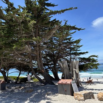 Carmel Beach - Beaches Near Me - Carmel-by-the-Sea, California