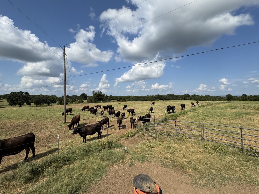 Hamilton Homestead Logo