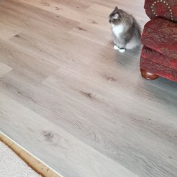 Floor going in, kitty is supervising