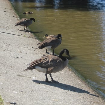 Lost Lagoon - Parks Near Me - Vancouver, British Columbia