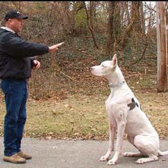 Kentuckiana K-9 - Big or small, we train them all - Pet Training Near Me - Louisville, Kentucky Kentuckiana K-9 - Big or small, we train them all - Pet Training Near Me - Louisville, Kentucky