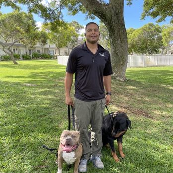 K9 Vision - Frank, Charles, Blanca (Charles's dog) - Pet Training Near Me K9 Vision - Frank, Charles, Blanca (Charles's dog) - Pet Training Near Me