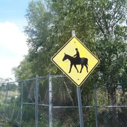 Phoenix Bike Path - You have to share