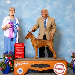 EarthWise Pet Lawrence - Finishing his championship before his first birthday!