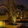 Photo of Premier Outdoor Lighting