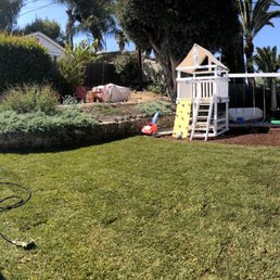 St. Augustine, just laid.