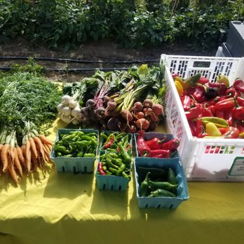 Brooklyn Grange Farm & Farmstand - Farmers Market Near Me - Brooklyn, New York Brooklyn Grange Farm & Farmstand - Farmers Market Near Me - Brooklyn, New York