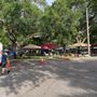 Photo of Green Thumb Festival