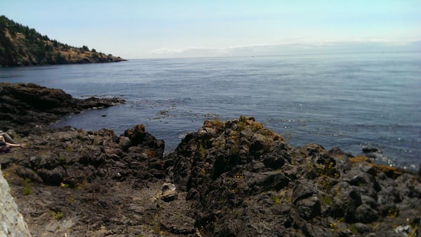 Lime Kiln Point State Park by null