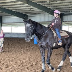 Billings Equestrian