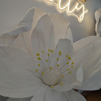 Molly Jasmine Tea Shoppe - Juice Bars & Smoothies Near Me - Davis, California