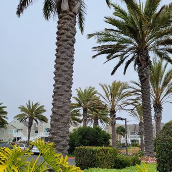 Strand Vista Park - Parks Near Me - Dana Point, California Strand Vista Park - Parks Near Me - Dana Point, California
