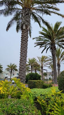 Strand Vista Park by null