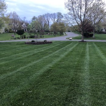Green Lawn Fertilizing - Landscape Architects or Designers Near Me Green Lawn Fertilizing - Landscape Architects or Designers Near Me